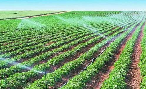 狂干骚逼午夜免费视频农田高 效节水灌溉